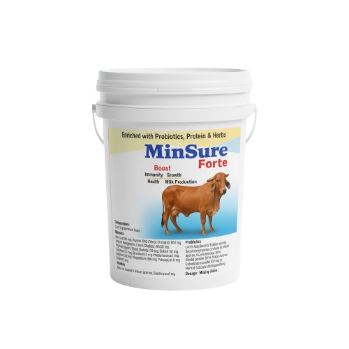 Minsure Forte