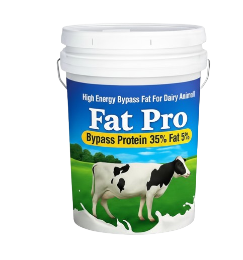 Fat Protein
