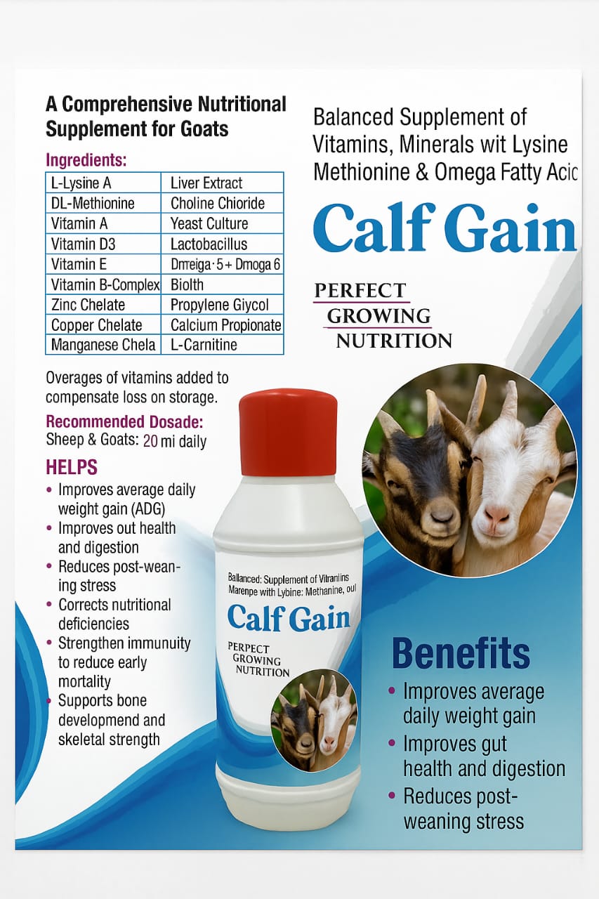 Calf Gain